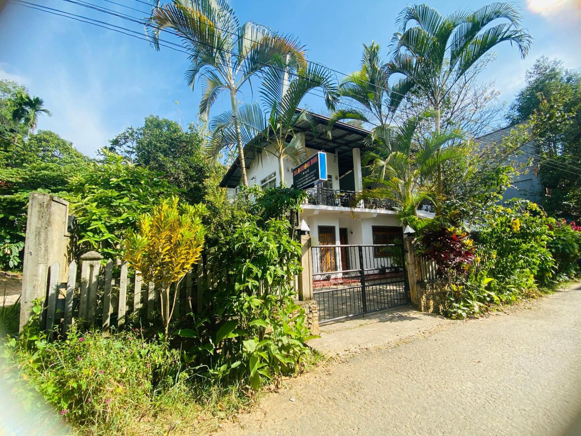 Blossom Inn Ella Luaran gambar